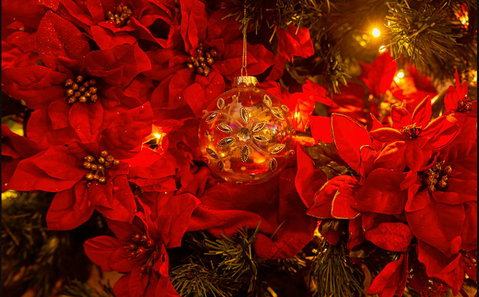 christmas background