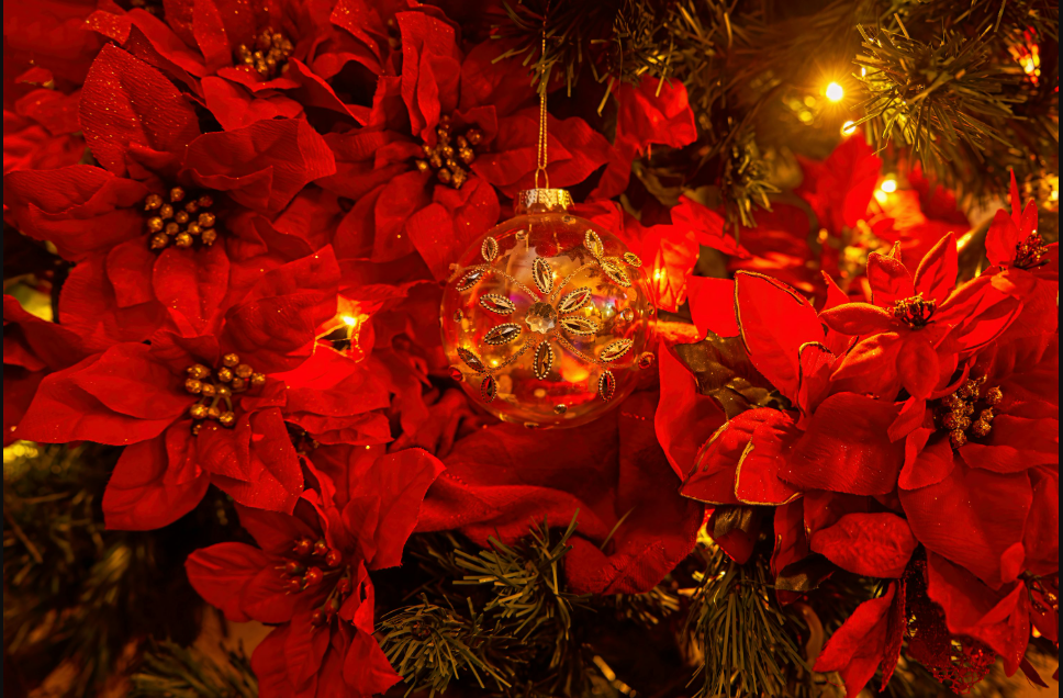 christmas background